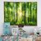 Designart - Forest with Rays of Sun Panorama - Landscape Art Print Framed Canvas